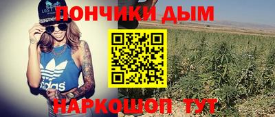 хмурый Тара
