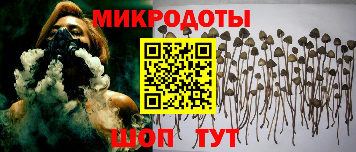 Псилоцибиновые грибы Magic Shrooms Надым