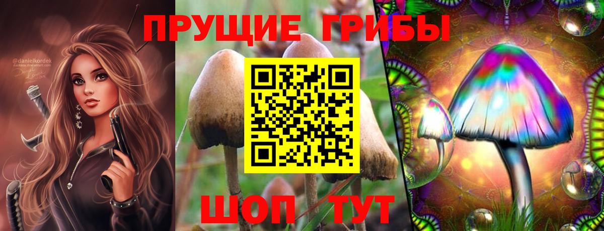 Меф Надым