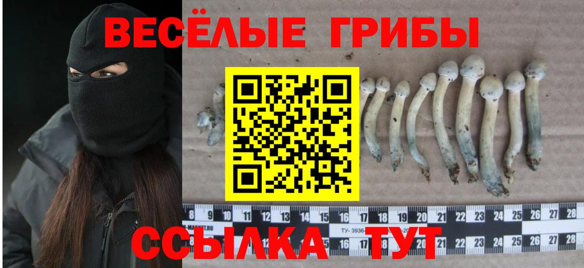 Надым  Галлюциногенные грибы мухоморы  Вход с VPN 